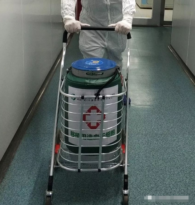 細胞運輸